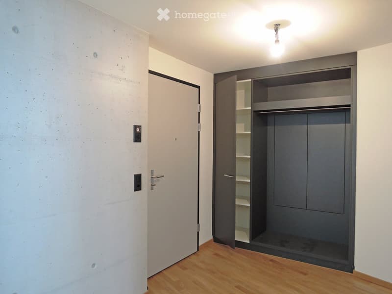 Empty room with wooden flooring, white walls, and a built-in closet with open shelving. No furniture or personal items are present.