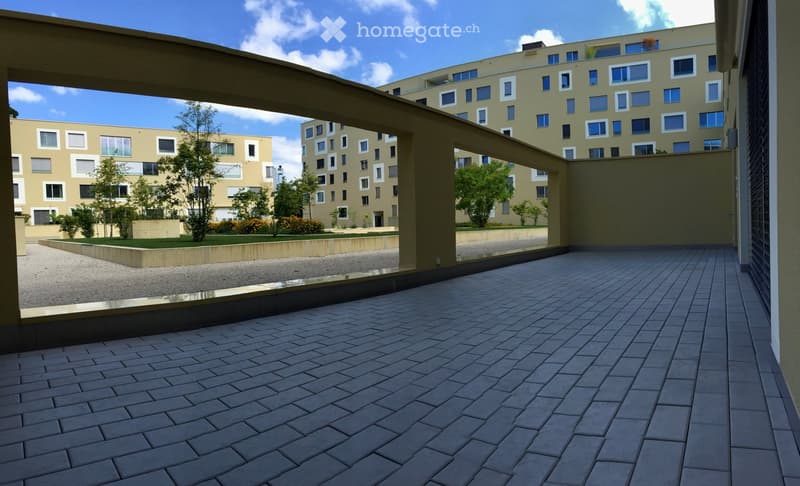 Courtyard with paved brick floor, raised garden beds, small trees, and modern apartment buildings in the background.