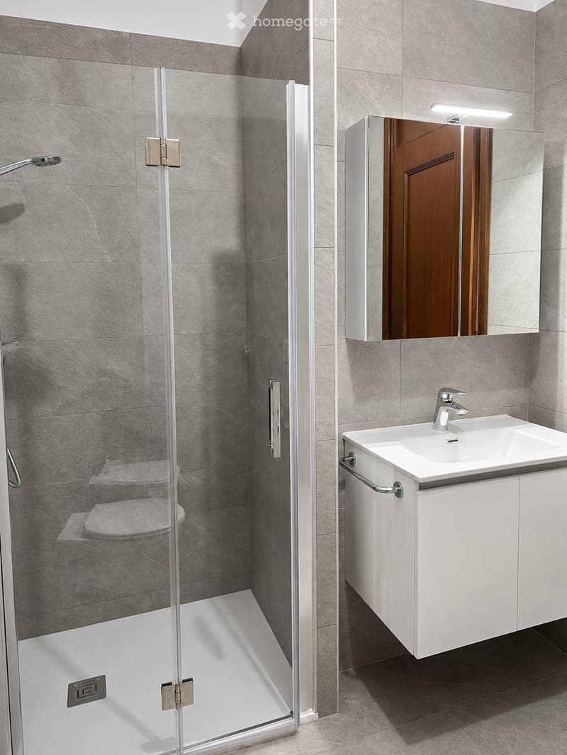Modern bathroom with grey tiled walls, a white sink with a modern faucet, a mirrored cabinet, and a glass-enclosed shower stall.