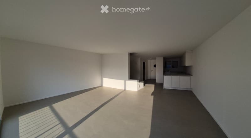 Empty room with white walls and grey carpeted floor, featuring a small kitchen area with cabinets and a sink.