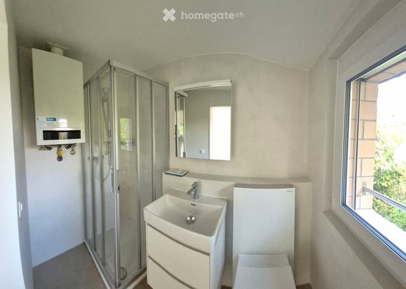 Modern bathroom with a white sink, mirror, glass-enclosed shower, and water heater. The room features light-colored walls and a window letting in natural light.