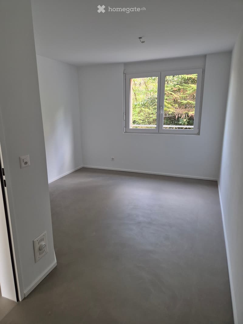 Empty room with light grey walls, carpeted floor, and a large window with white frame showing greenery outside.
