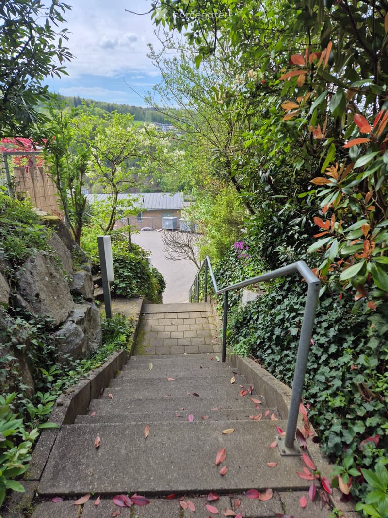 A raised concrete staircase surrounded by lush greenery, with metal railings and scattered autumn leaves on the steps.