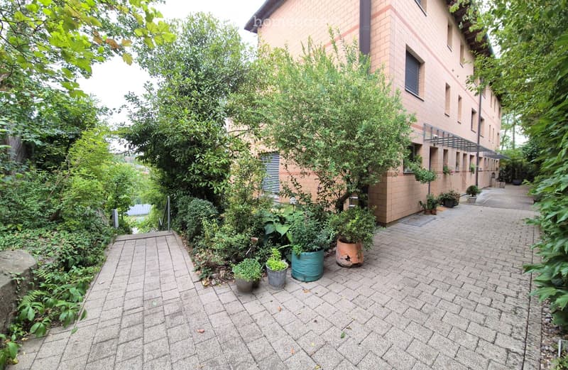 Garden area with paved walkway, potted plants, and surrounding greenery next to a building.