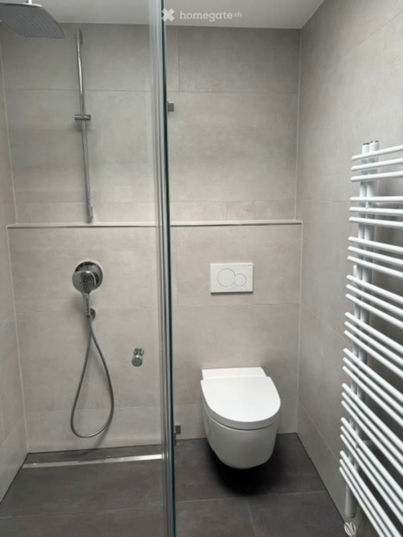 Modern bathroom with a toilet, glass-enclosed shower, and a white towel rack.