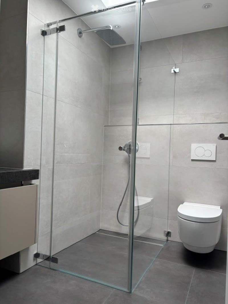 Modern bathroom with a glass-enclosed shower stall and a toilet. The shower features a handheld sprayer and a fixed overhead showerhead. The walls and floor are covered in grey tiles.
