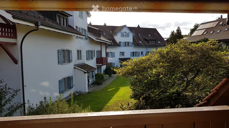 View from a balcony showing a well-maintained garden with green grass, shrubs, and trees, surrounded by traditional European houses with pitched roofs and shutters.