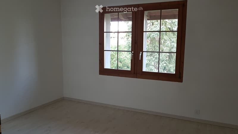 Empty room with light wooden flooring and white walls, featuring a large double-hinged window with wooden frames and multiple panes.