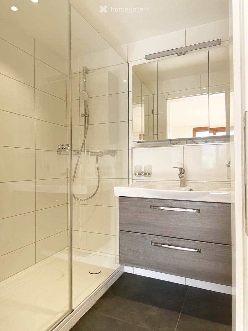 Modern bathroom with a glass-enclosed shower, a white sink with a chrome faucet, a large mirror, and a grey cabinet with silver handles.