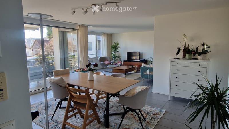 Bright living and dining area with large windows, modern furniture including a wooden dining table, chairs, sofa, TV, and decorative plants.