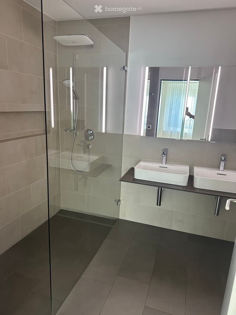 Modern bathroom with a glass-enclosed shower, two sinks, and a large mirror. The shower features a handheld sprayer and a fixed rain showerhead. The sinks are mounted on a dark wooden vanity with chrome fixtures.