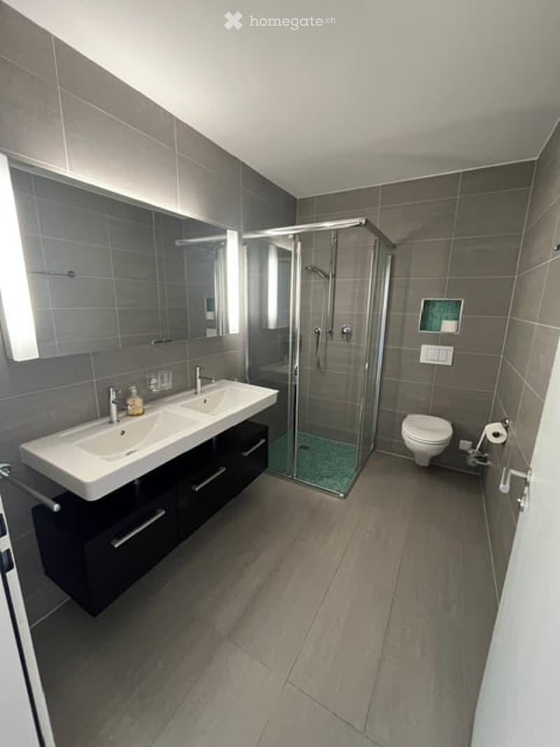 Modern bathroom with double sink, large mirror, glass-enclosed shower, and toilet. Features dark grey tiles and a sleek design.