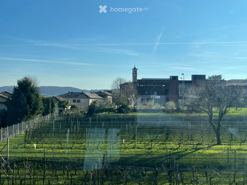 Moderno Appartamento con Terrazza a Mendrisio con SPA – Nuova Costruzione 2026 (7)