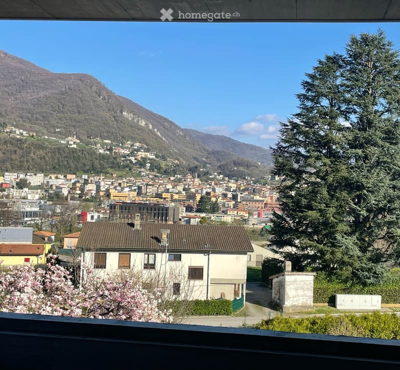 Moderno Appartamento con Terrazza a Mendrisio con SPA – Nuova Costruzione 2026 (5)