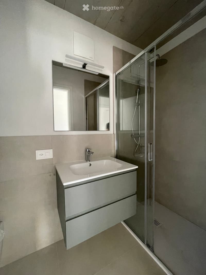 Modern bathroom with a white sink, mirror, and glass-enclosed shower. The sink has a sleek, minimalist design with a chrome faucet and a built-in cabinet below.