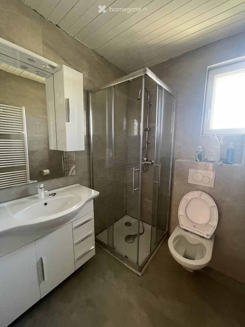 Modern bathroom with a white sink, mirror, cabinet, toilet, and glass-enclosed shower. The room features a sleek design with neutral tones and a window providing natural light.