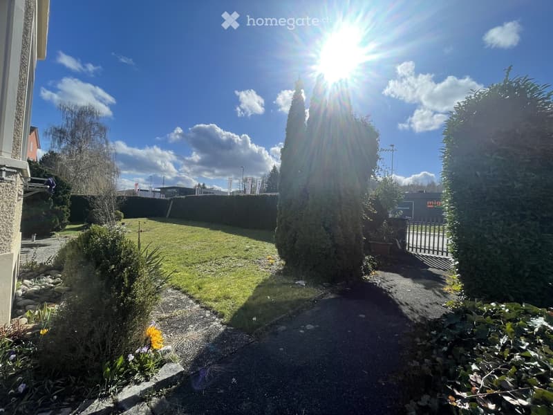 Well-maintained garden with a gravel pathway, green lawn, shrubs, and a tall conifer tree. The area is enclosed by a hedge and features a gate leading to a street.