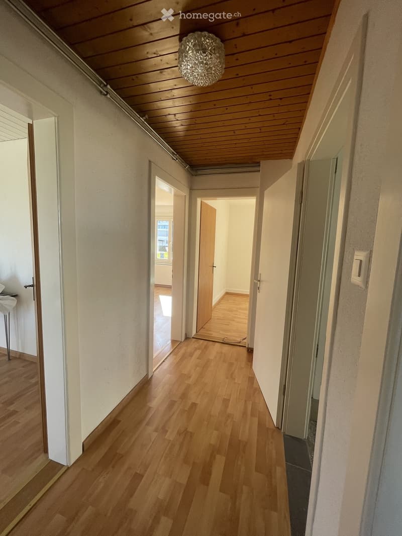 Empty hallway with wooden flooring, white walls, and a slanted wooden ceiling. Doors lead to other rooms, and a light fixture hangs from the ceiling.