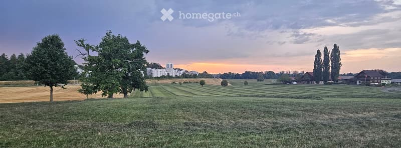 A peaceful rural landscape with fields, trees, and a distant city skyline at sunset.