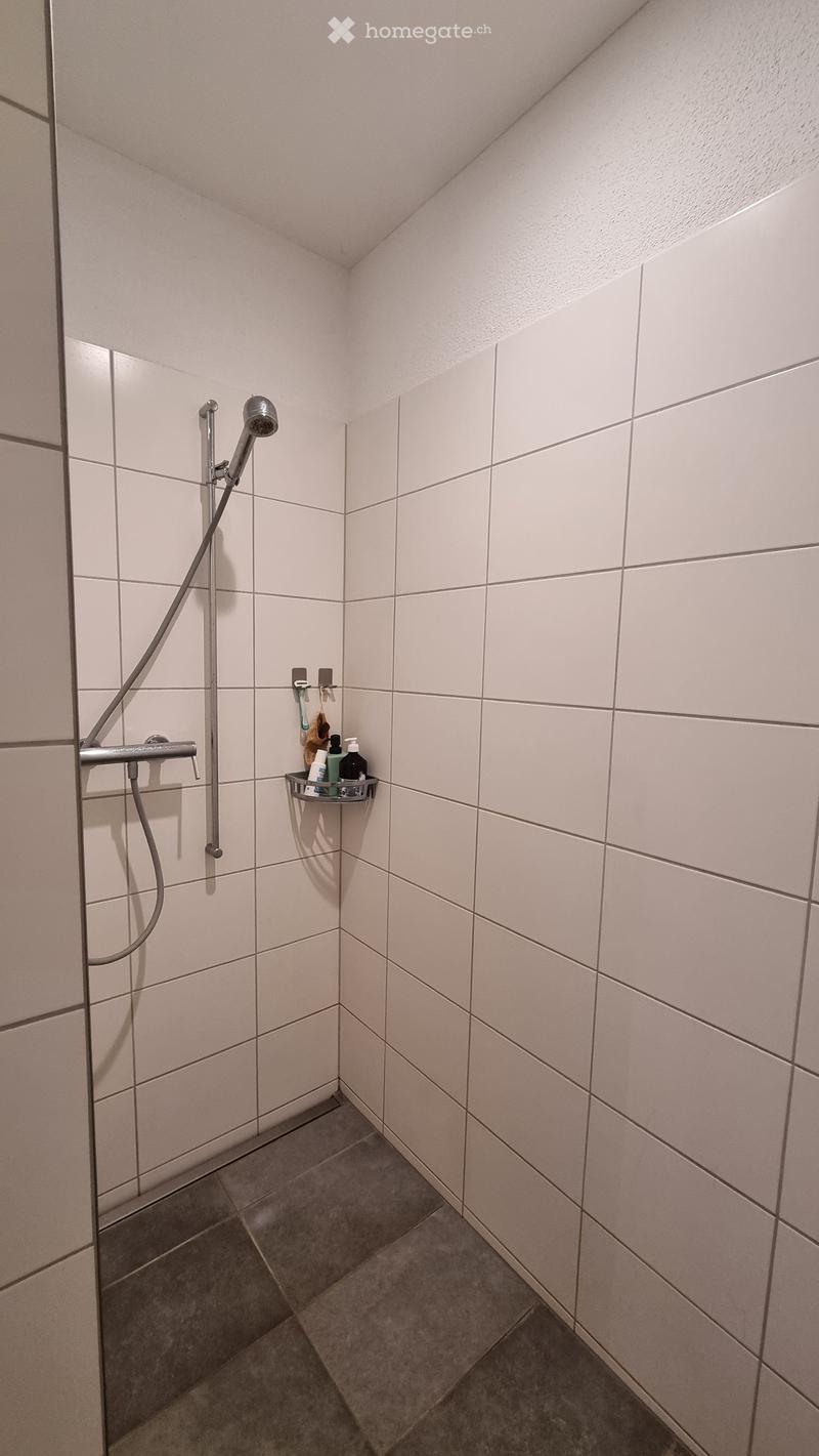 Modern shower area with white tiled walls and floor, featuring a handheld showerhead, a built-in shelf holding toiletries, and a sleek design.