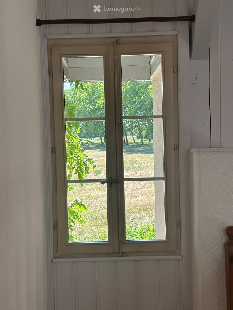 An unfurnished room with a window showing a view of a park with trees and grass. The window has a simple frame and is partially covered by a curtain on the left side.