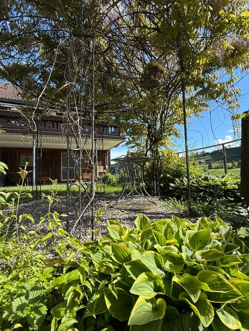 Garden with lush green plants, a metal table, and a house in the background under a clear blue sky.