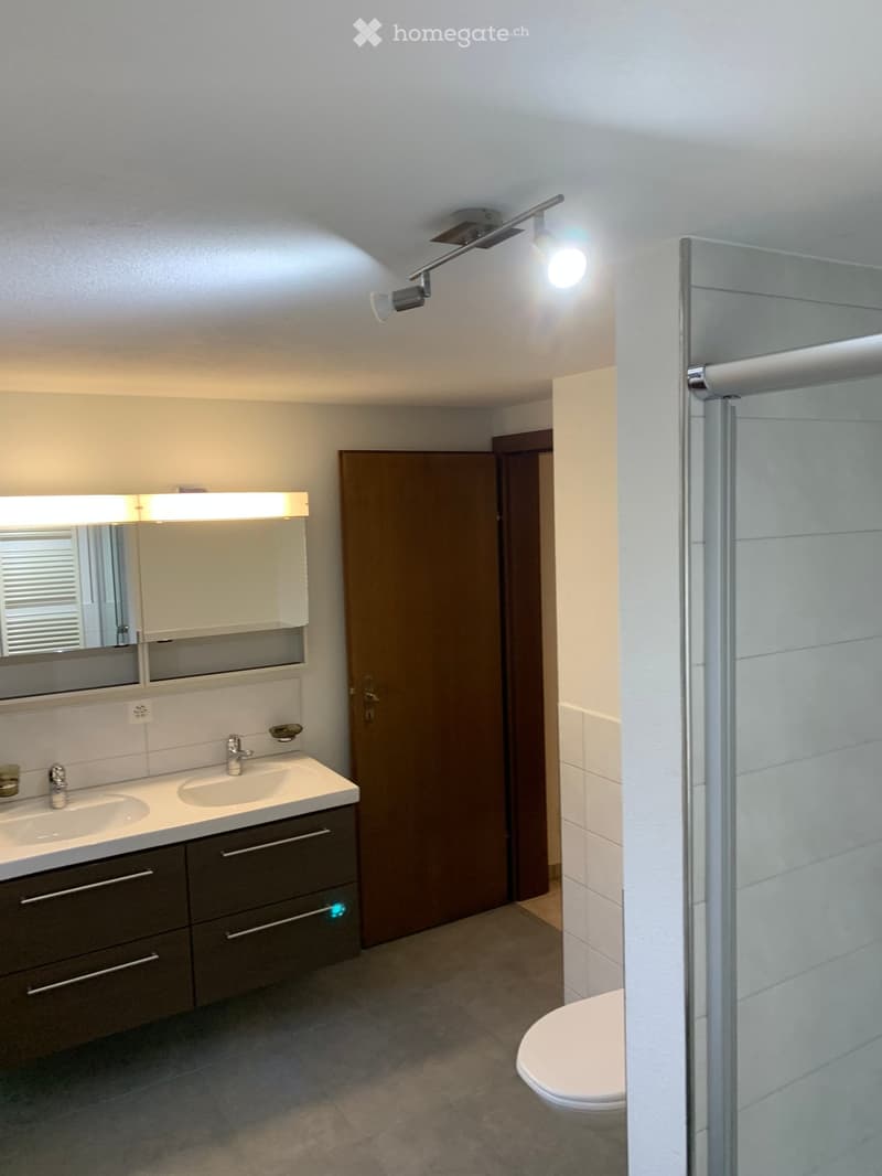 Modern bathroom with double sink, mirrored cabinet, toilet, and glass-enclosed shower. Features built-in storage cabinets and sleek lighting fixtures.