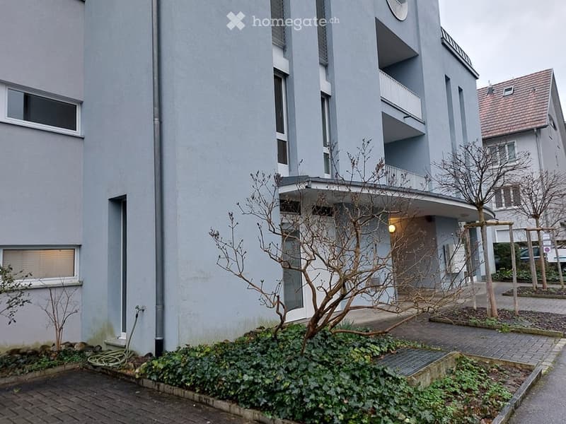 Modern multi-story apartment building with light grey facade, large windows, and balconies. Small landscaped area with shrubs and trees in front.