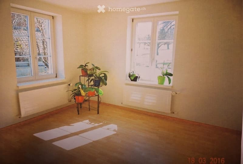 Empty room with wooden flooring, light-colored walls, and large windows with white frames. There are radiators beneath the windows and a small metal stand with potted plants near one window.