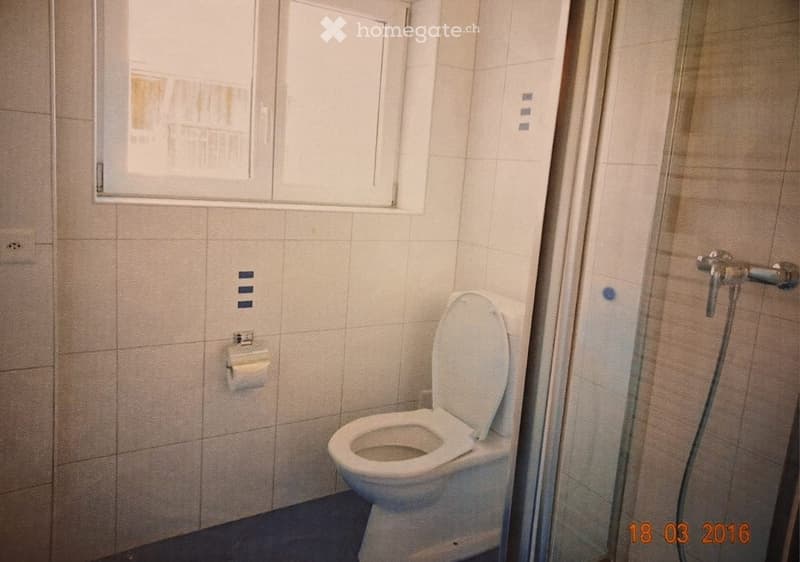 Bathroom with a toilet, toilet paper holder, and a shower area with a handheld showerhead.