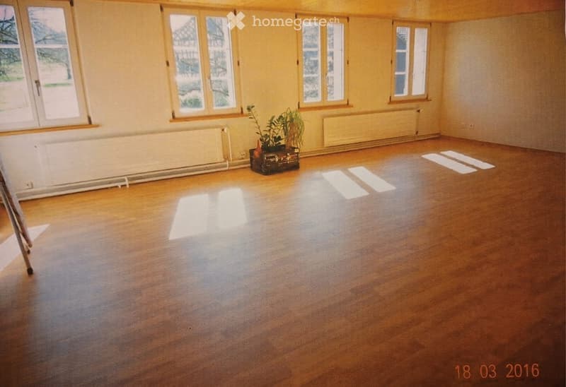 Empty room with wooden flooring, large windows, radiators, and a small potted plant near the center.