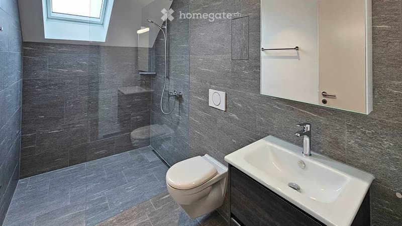 Modern bathroom with grey tiles, a toilet, a sink with a modern faucet, a glass-enclosed shower, and a built-in cabinet with a mirror.
