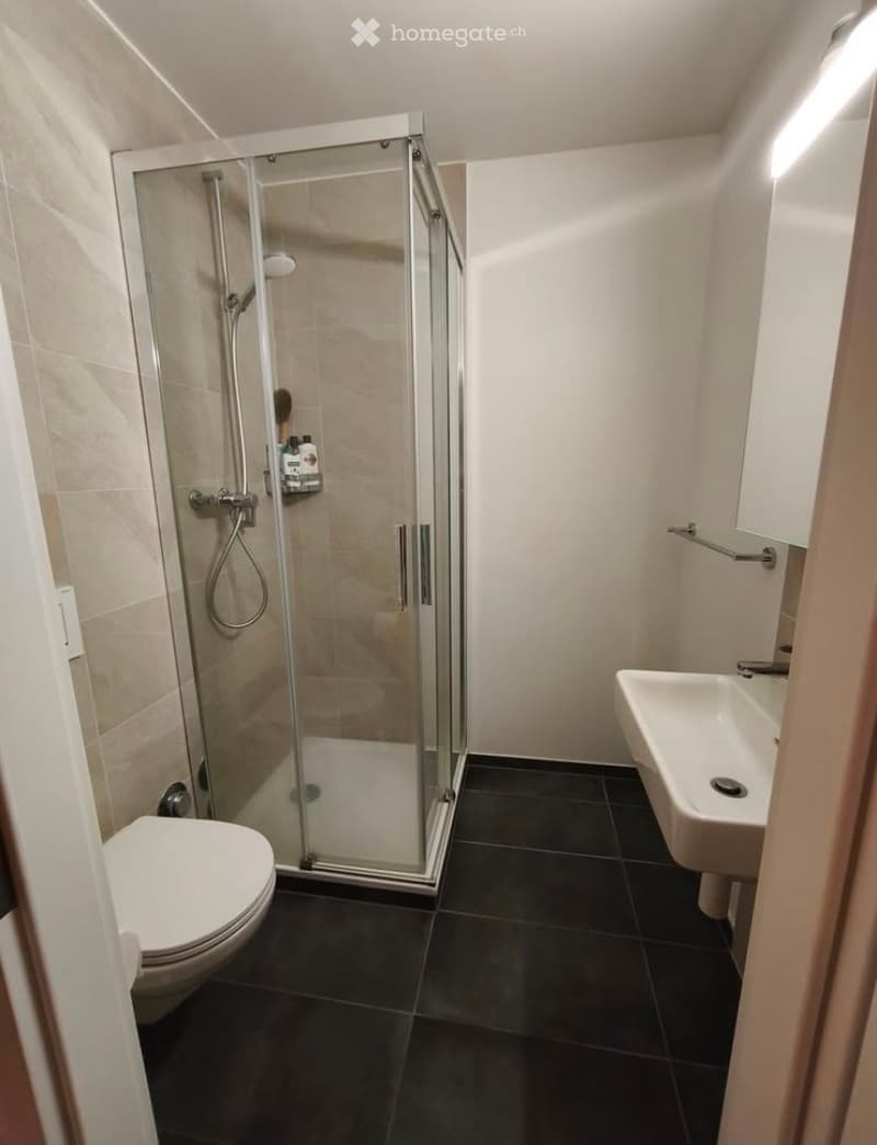 Modern bathroom with a glass-enclosed shower, toilet, sink, and towel rack. Dark tiled floor and light-colored walls.