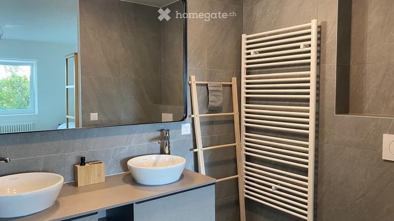 A bathroom with two white sinks, a mirror, a towel rack, and a radiator.