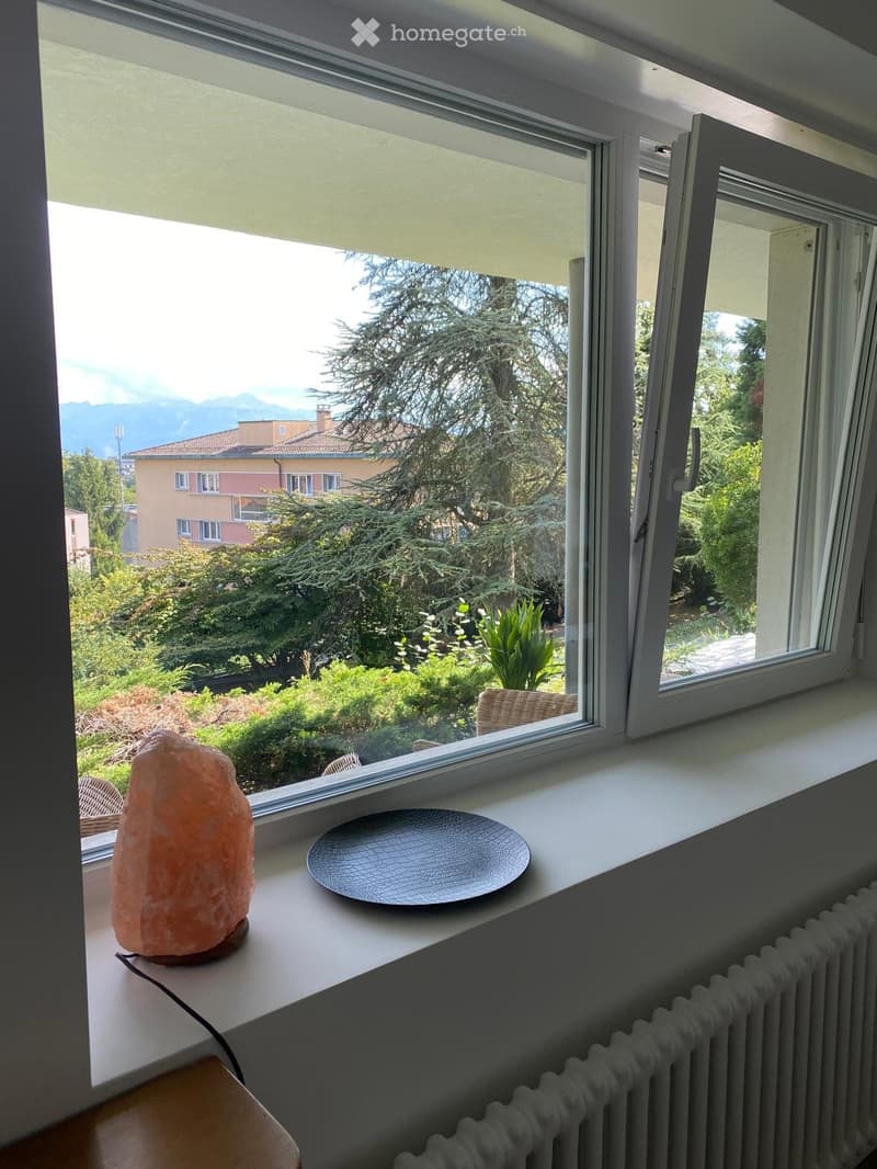 white windowsill, plate, lamp, heater, glass window, outdoor view, trees, plants, building, mountains