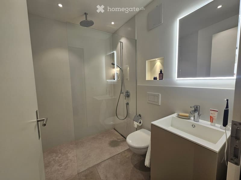 Modern bathroom with a glass-enclosed shower, a sink with a modern faucet, a toilet, and a large mirror with built-in lighting. The shower has a handheld sprayer and a built-in shelf. The sink has a soap dispenser and a toothbrush holder.