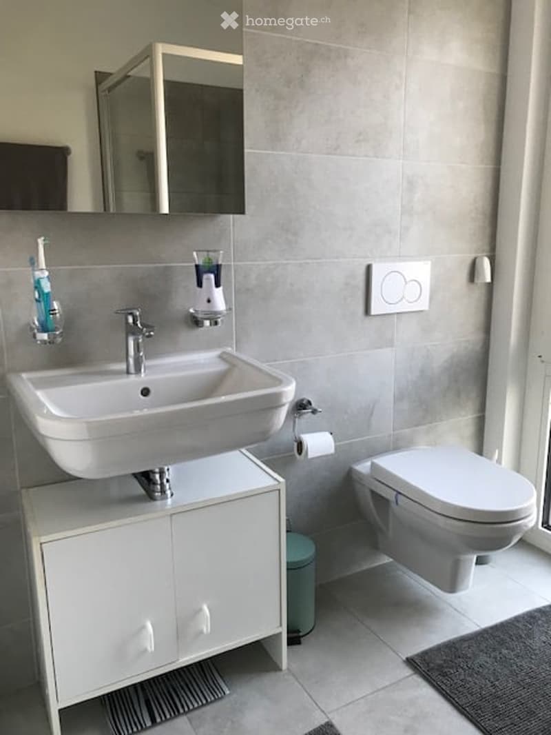 Modern bathroom with a white sink on a white cabinet, a mirror above, a toilet, and a toothbrush holder on the wall.