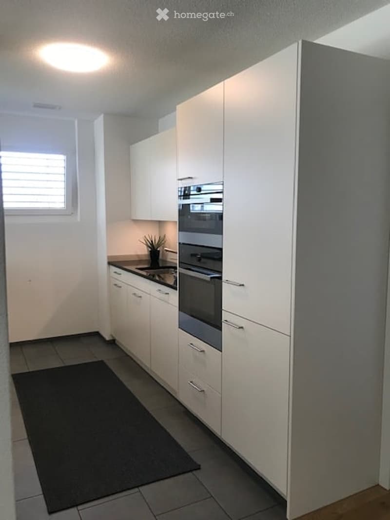 Modern kitchen with white cabinets, stainless steel oven and stove, black countertop, and a small potted plant on the counter.