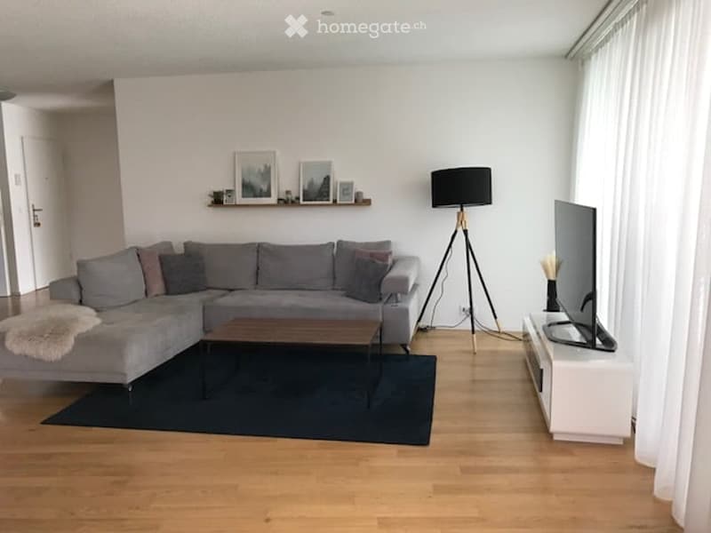 Modern living room with grey sectional sofa, coffee table, floor lamp, TV stand, and picture frames on a shelf.