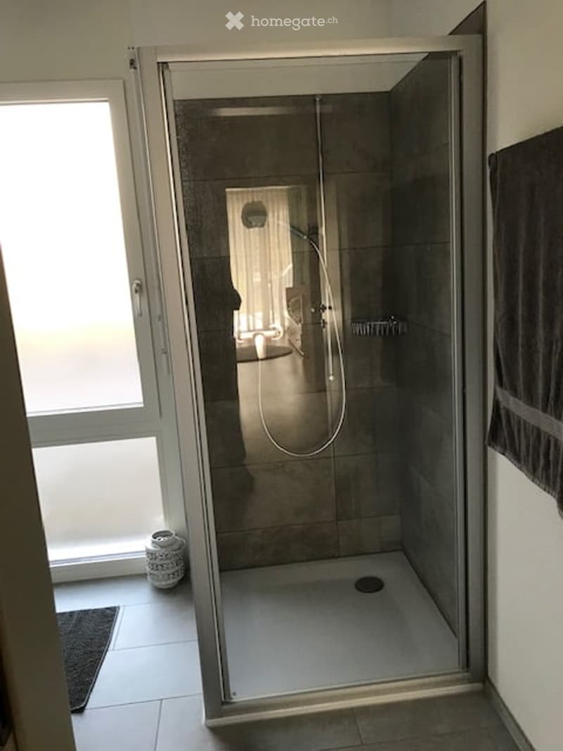 Modern bathroom with a glass-enclosed shower stall, a showerhead, a faucet, a towel hanging on the wall, and a small rug on the floor.
