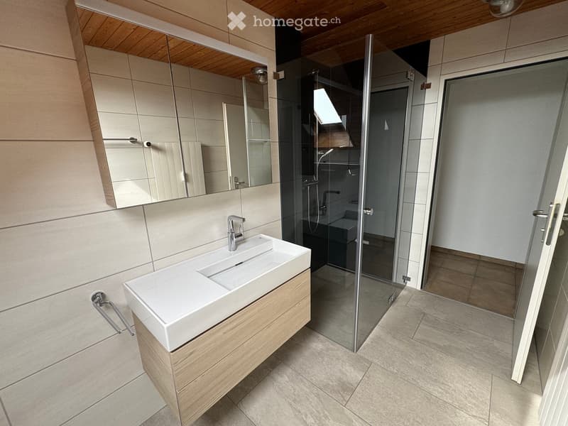 Modern bathroom with a white sink, wooden cabinet, large mirror, and glass-enclosed shower area.