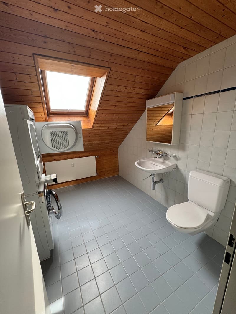 Modern bathroom with wooden ceiling, tiled walls, toilet, sink, mirror, and washing machine. Features a skylight window and built-in storage.