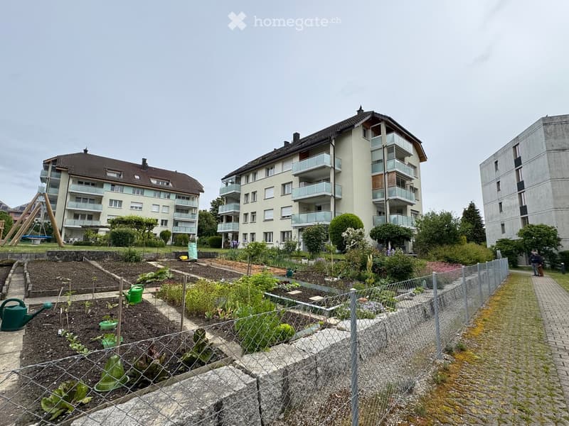 Garden area with raised beds, plants, and a watering can, surrounded by a metal fence, with apartment buildings in the background.