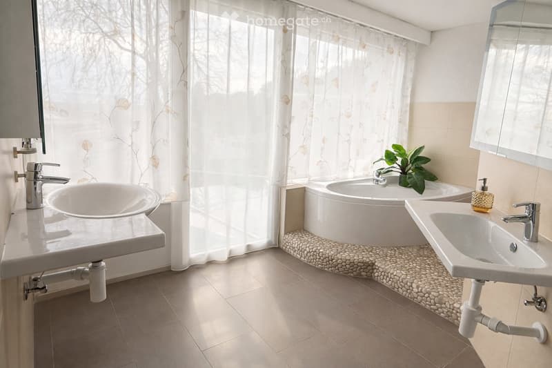 Modern bathroom with two sinks, a bathtub, a large mirror, and a decorative plant on the bathtub ledge.