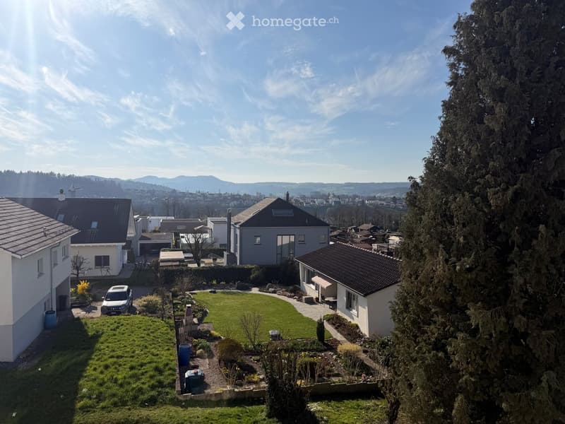 A well-maintained garden with a lawn, small trees, and shrubs, surrounded by neighboring houses and a scenic mountain backdrop.