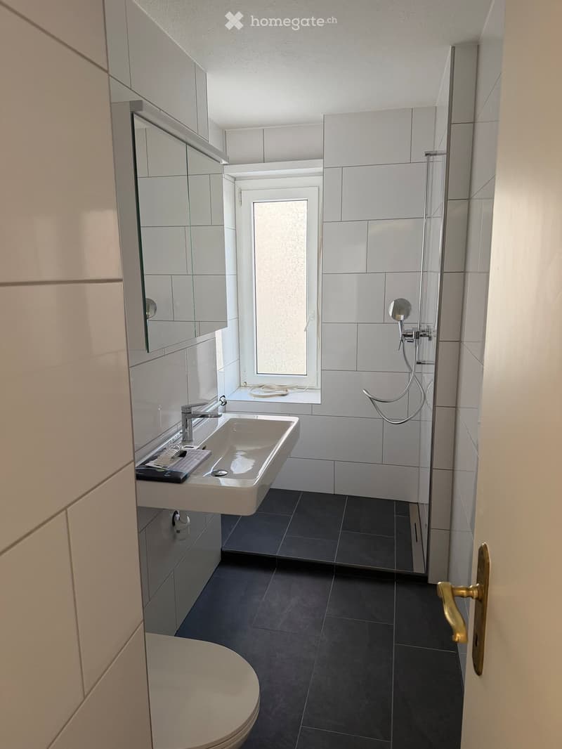 Modern bathroom with white tiles, dark grey floor, sink, toilet, shower, and a mirror cabinet.