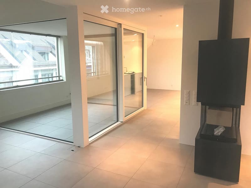 tiled floor, sliding doors to terrace, fireplace, window, open space, view to street