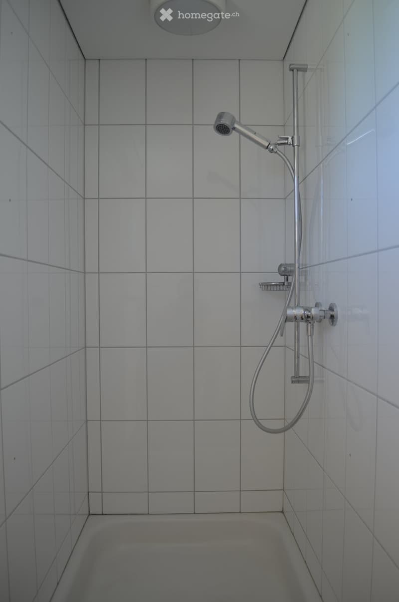 Modern shower area with white tiled walls and floor, featuring a handheld showerhead and a fixed shower faucet.