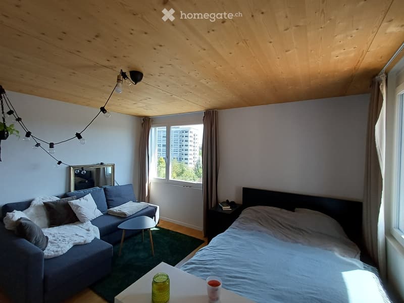 A modern, compact living space with a sofa, bed, small table, and decorative items. The room features wooden ceilings, large windows with city views, and a cozy green rug.