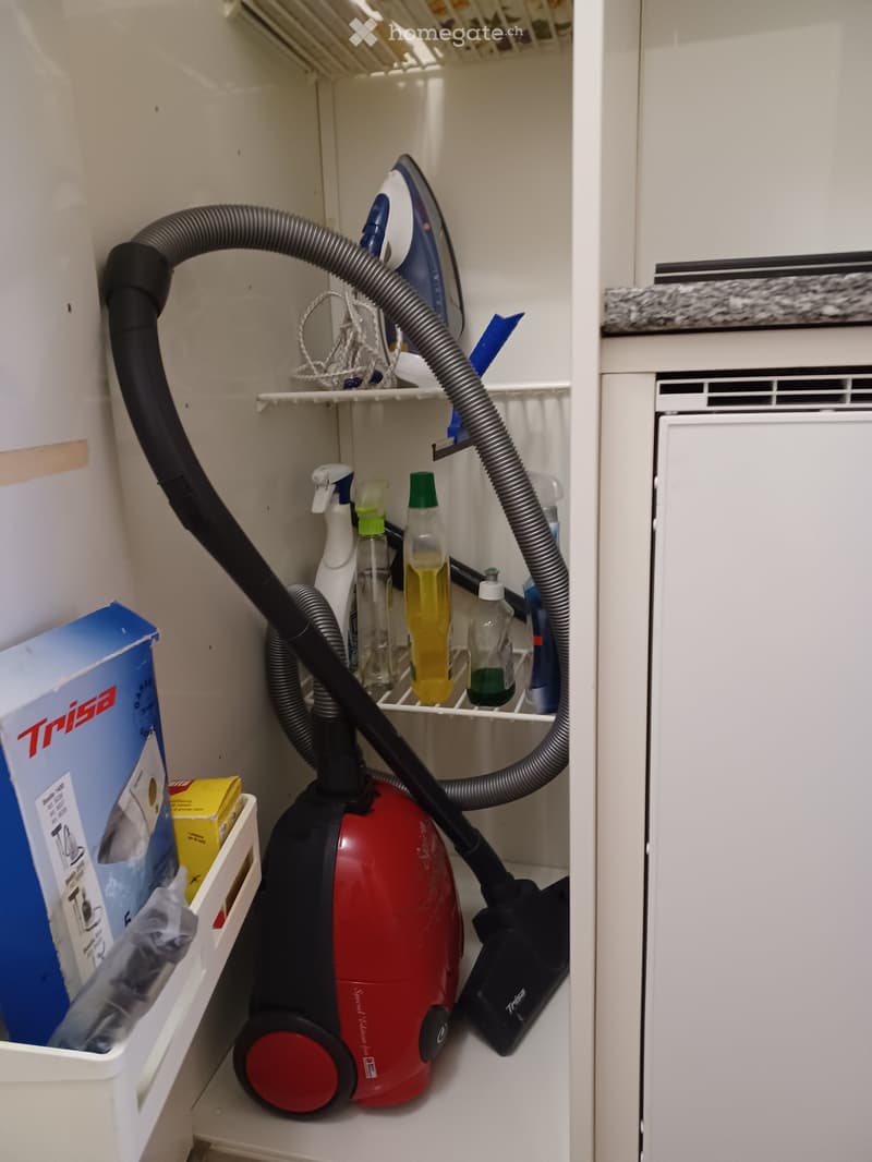 A small utility closet with a vacuum cleaner, iron, cleaning supplies, and storage boxes neatly arranged on shelves.